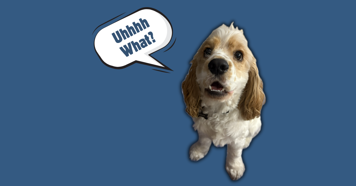 Catholic vs Protestant Ten Commandments: What’s the Difference and Why It Matters